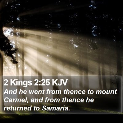2 Kings 2:25 KJV Bible Verse Image