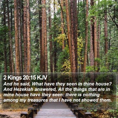 2 Kings 20:15 KJV Bible Verse Image