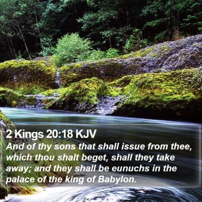 2 Kings 20:18 KJV Bible Verse Image
