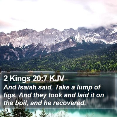 2 Kings 20:7 KJV Bible Verse Image
