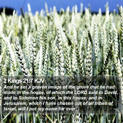 2 Kings 21:7 KJV Bible Verse Image