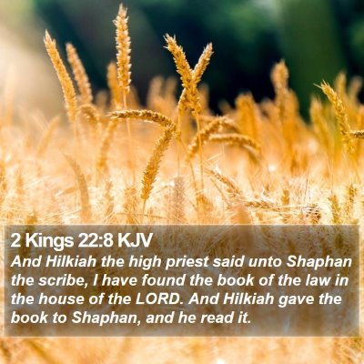 2 Kings 22:8 KJV Bible Verse Image