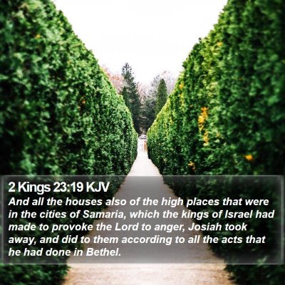 2 Kings 23:19 KJV Bible Verse Image