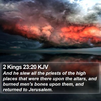 2 Kings 23:20 KJV Bible Verse Image