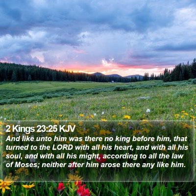 2 Kings 23:25 KJV Bible Verse Image