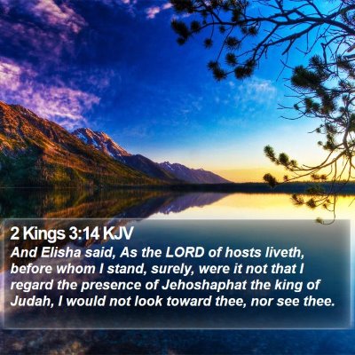 2 Kings 3:14 KJV Bible Verse Image