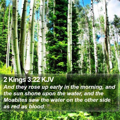 2 Kings 3:22 KJV Bible Verse Image