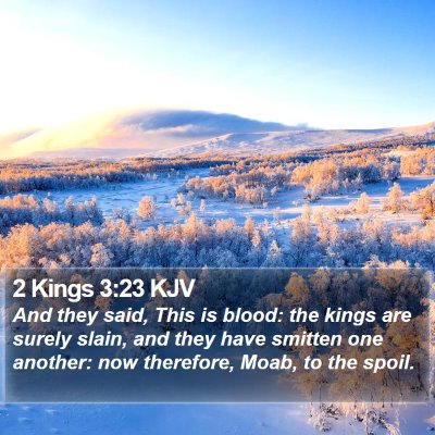 2 Kings 3:23 KJV Bible Verse Image