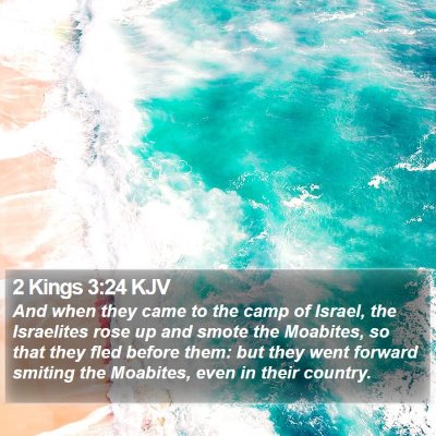 2 Kings 3:24 KJV Bible Verse Image