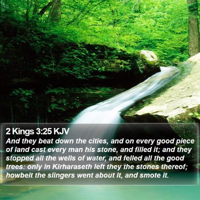 2 Kings 3:25 KJV Bible Verse Image