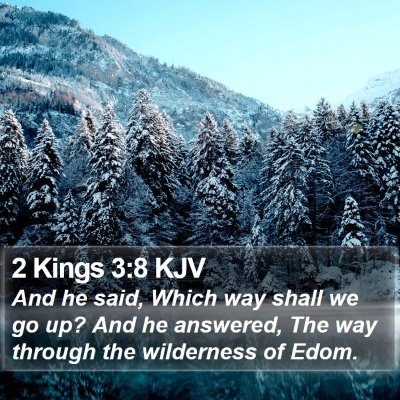 2 Kings 3:8 KJV Bible Verse Image