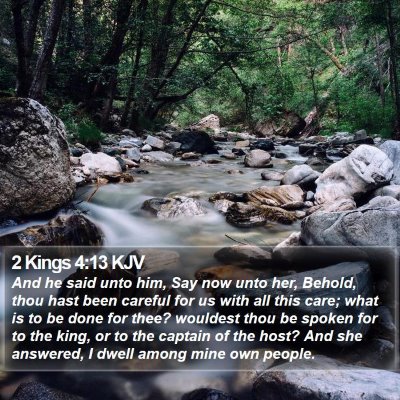 2 Kings 4:13 KJV Bible Verse Image
