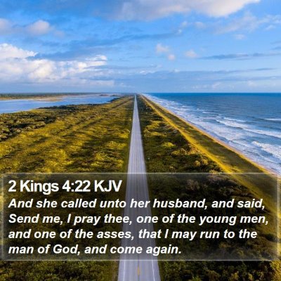2 Kings 4:22 KJV Bible Verse Image