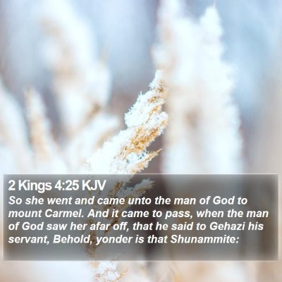 2 Kings 4:25 KJV Bible Verse Image
