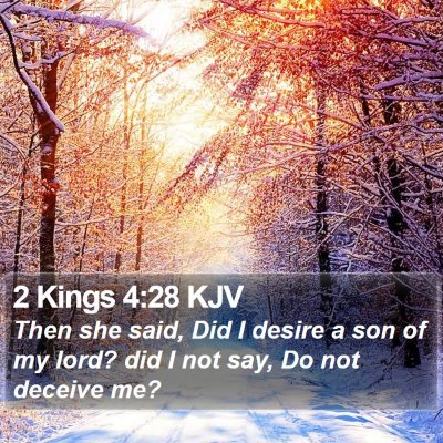 2 Kings 4:28 KJV Bible Verse Image