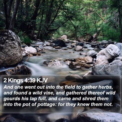 2 Kings 4:39 KJV Bible Verse Image