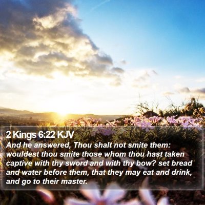 2 Kings 6:22 KJV Bible Verse Image