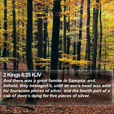 2 Kings 6:25 KJV Bible Verse Image