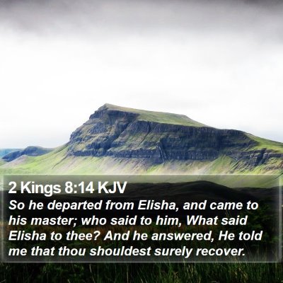 2 Kings 8:14 KJV Bible Verse Image