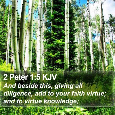 2 Peter 1:5 KJV Bible Verse Image
