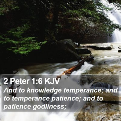 2 Peter 1:6 KJV Bible Verse Image