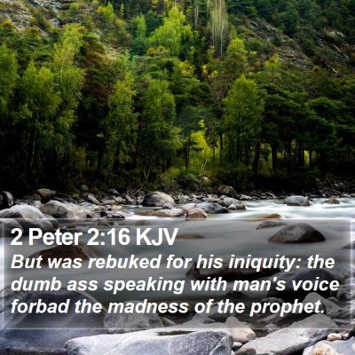2 Peter 2:16 KJV Bible Verse Image