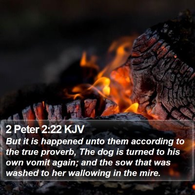 2 Peter 2:22 KJV Bible Verse Image