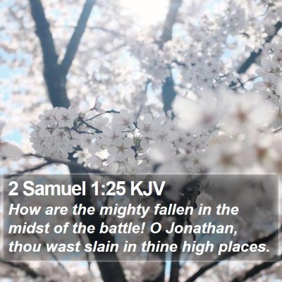 2 Samuel 1:25 KJV Bible Verse Image