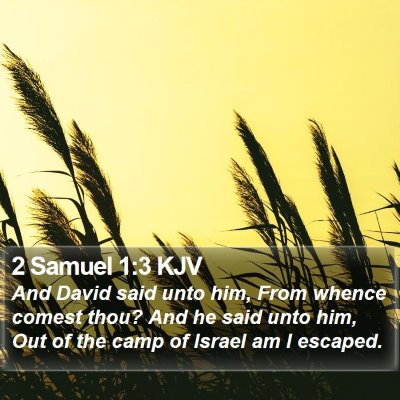 2 Samuel 1:3 KJV Bible Verse Image