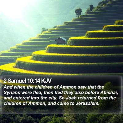 2 Samuel 10:14 KJV Bible Verse Image