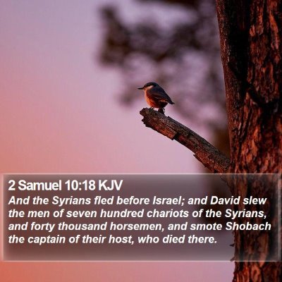 2 Samuel 10:18 KJV Bible Verse Image