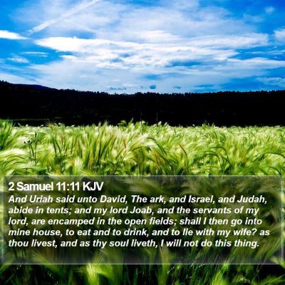 2 Samuel 11:11 KJV Bible Verse Image
