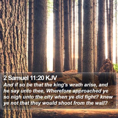 2 Samuel 11:20 KJV Bible Verse Image