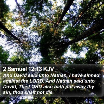 2 Samuel 12:13 KJV Bible Verse Image