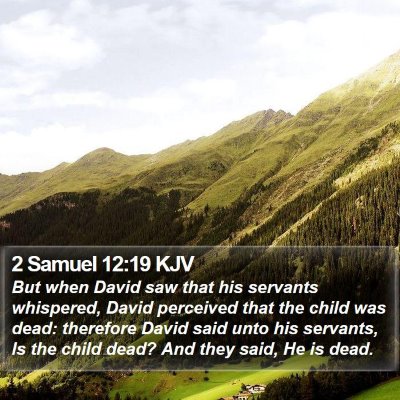 2 Samuel 12:19 KJV Bible Verse Image