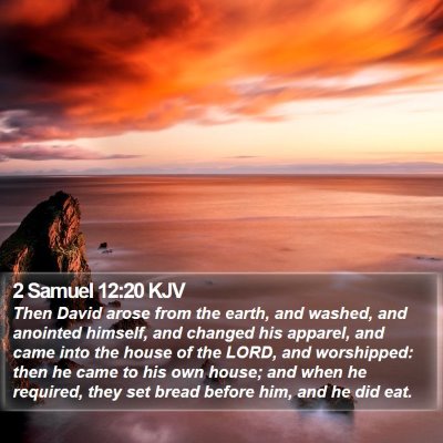 2 Samuel 12:20 KJV Bible Verse Image