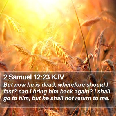 2 Samuel 12:23 KJV Bible Verse Image