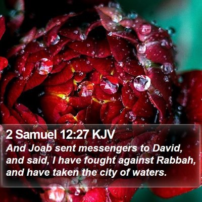 2 Samuel 12:27 KJV Bible Verse Image