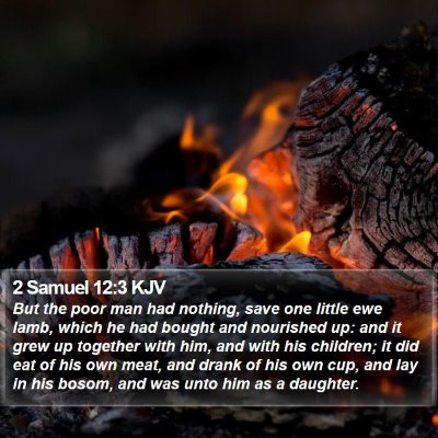 2 Samuel 12:3 KJV Bible Verse Image