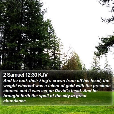 2 Samuel 12:30 KJV Bible Verse Image