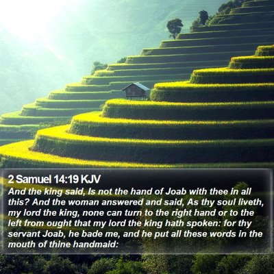 2 Samuel 14:19 KJV Bible Verse Image