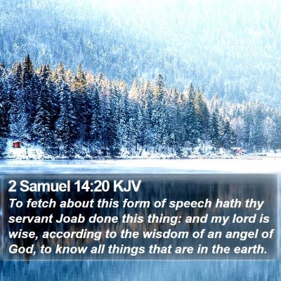 2 Samuel 14:20 KJV Bible Verse Image