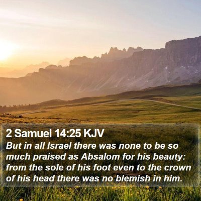 2 Samuel 14:25 KJV Bible Verse Image