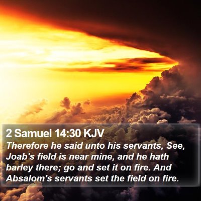 2 Samuel 14:30 KJV Bible Verse Image