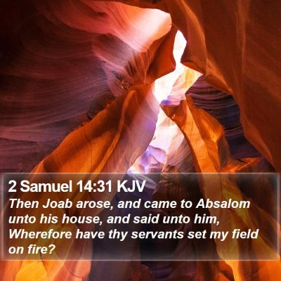 2 Samuel 14:31 KJV Bible Verse Image