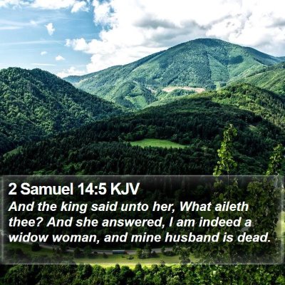 2 Samuel 14:5 KJV Bible Verse Image