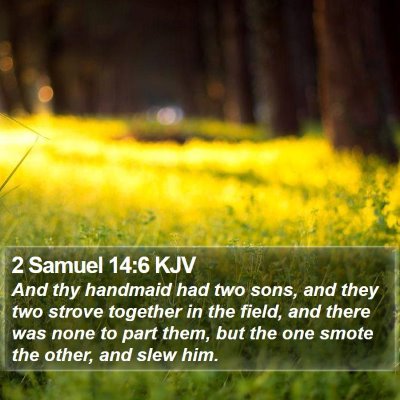 2 Samuel 14:6 KJV Bible Verse Image