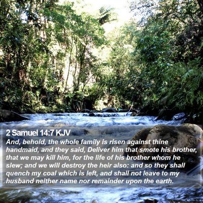 2 Samuel 14:7 KJV Bible Verse Image