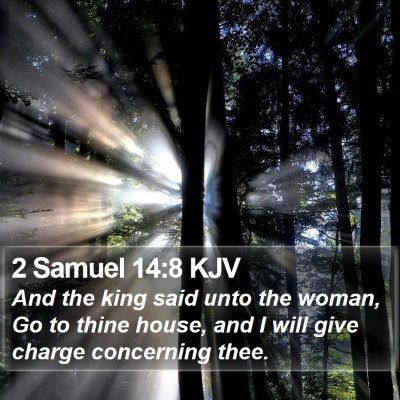 2 Samuel 14:8 KJV Bible Verse Image