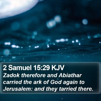 2 Samuel 15:29 KJV Bible Verse Image